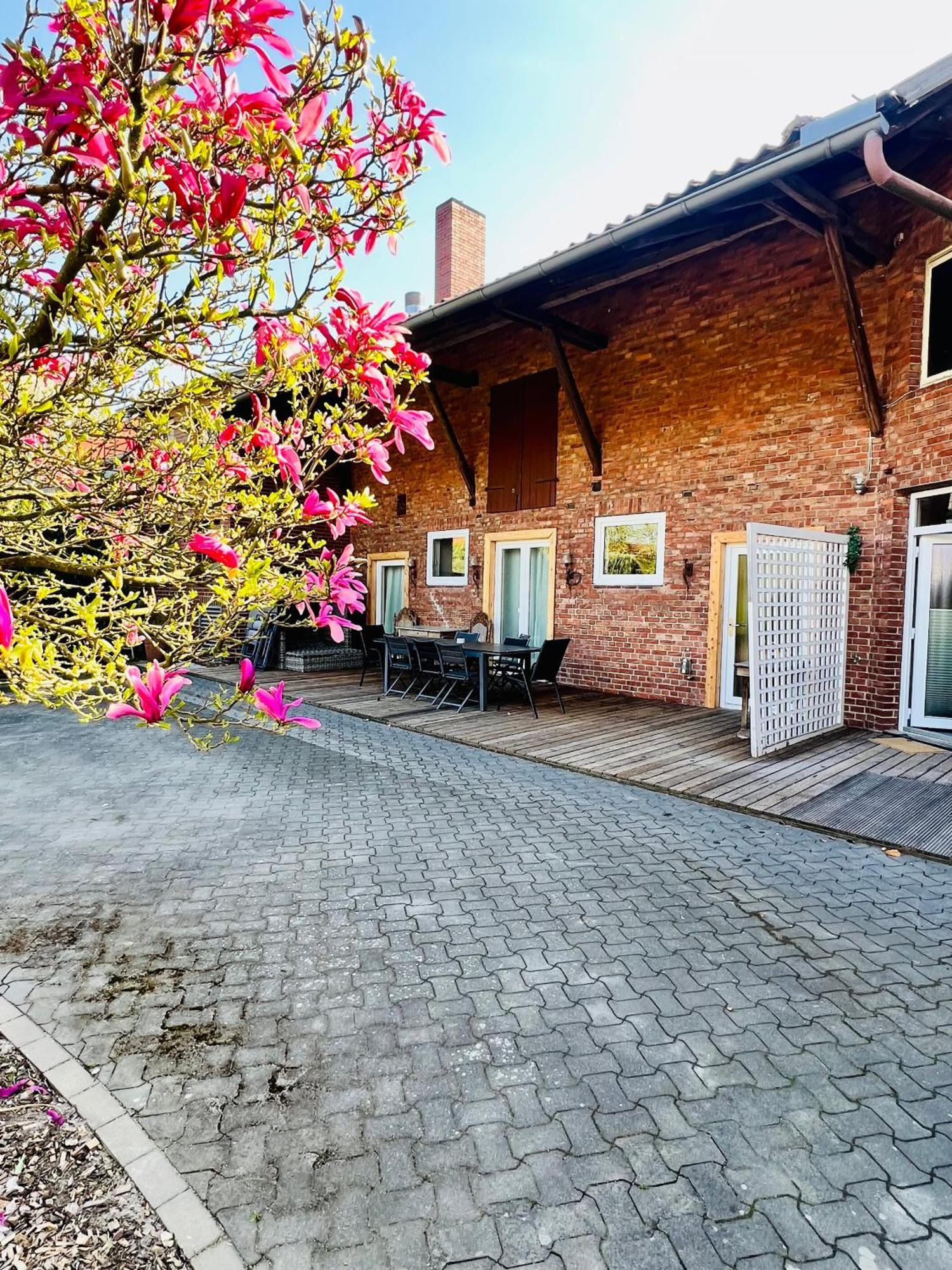 Ferienwohnungen Maedchen Wunstorf Exterior foto